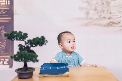 张北八个月宝宝零食